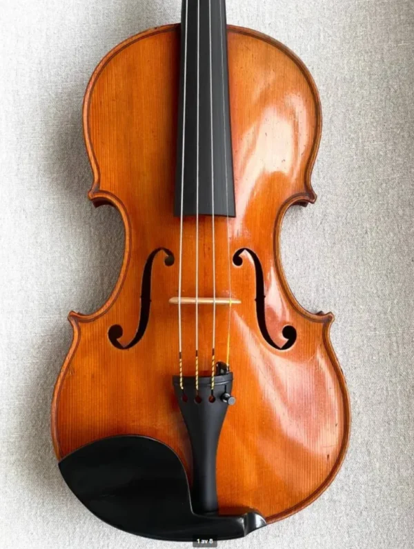 Fiol Marc Laberte 1931