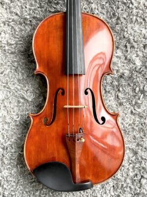 Stor fin viola